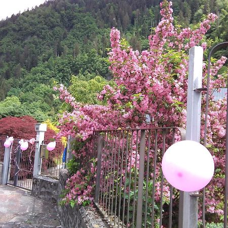 Готель Casa Per Ferie Paola Di Rosa Арта-Терме Екстер'єр фото